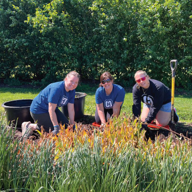 Sustainability Network